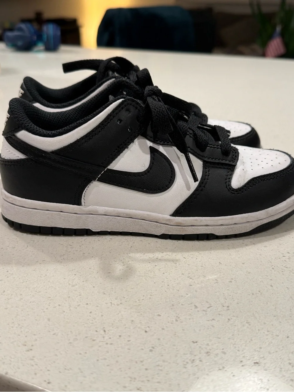 Nike Black and White Dunk Kids Low-Top Sneakers
